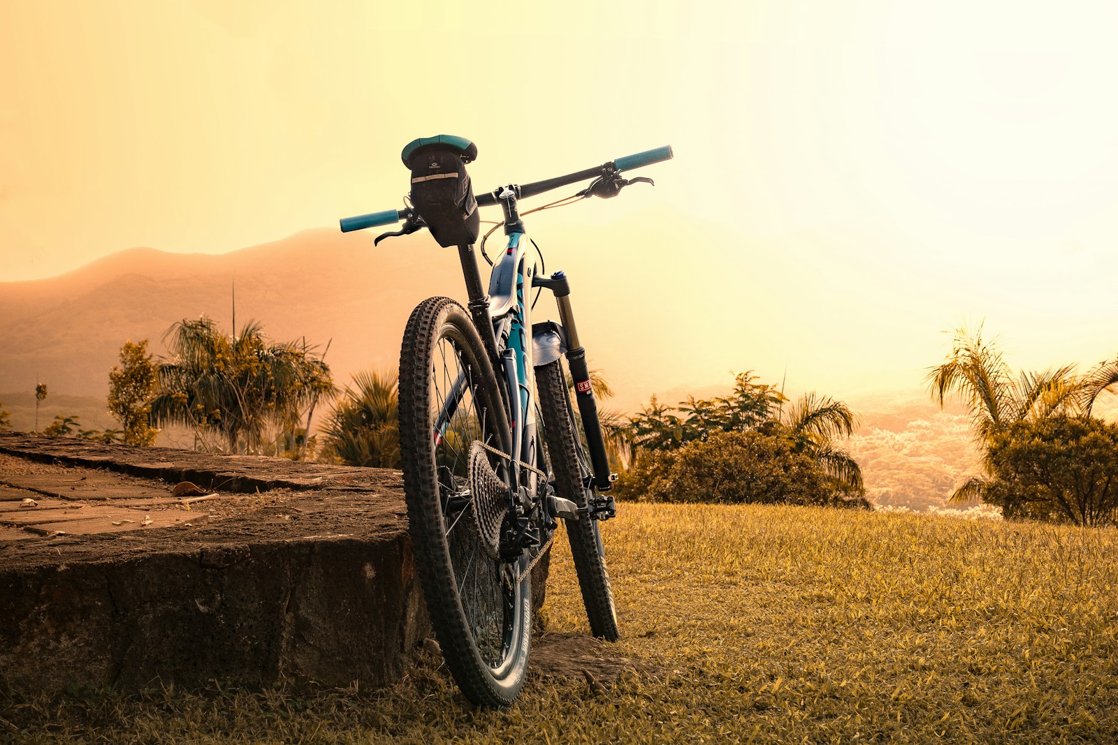 Cycle